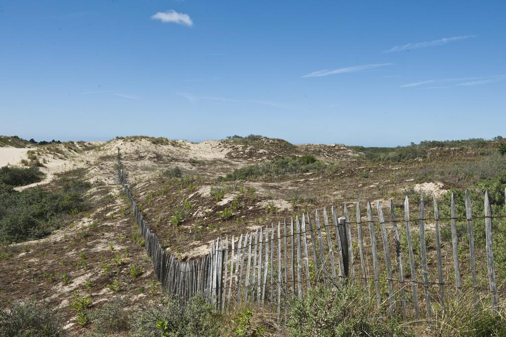 Evancy Etoile Des Dunes Bray-Dunes Εξωτερικό φωτογραφία